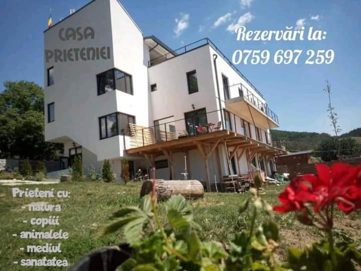 Casa Prieteniei - Camere Cu Priveliste Bistrita  Luaran gambar